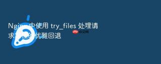 nginx 中使用 try_files 处理请求路径的优雅回退