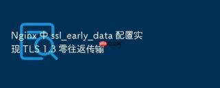 nginx 中 ssl_early_data 配置实现 tls 1.3 零往返传输