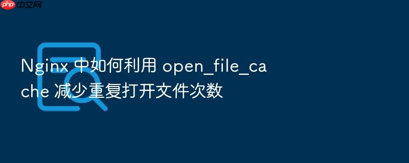 nginx 中如何利用 open_file_cache 减少重复打开文件次数