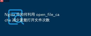 nginx 中如何利用 open_file_cache 减少重复打开文件次数