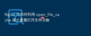 Nginx 中如何利用 open_file_cache 减少重复打开文件次数