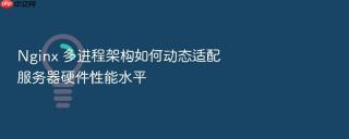 nginx 多进程架构如何动态适配服务器硬件性能水平