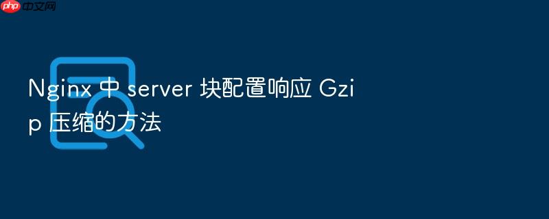 nginx 中 server 块配置响应 gzip 压缩的方法