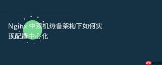 nginx 中双机热备架构下如何实现配置中心化