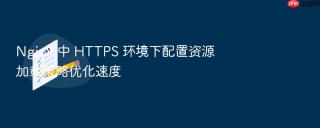 nginx 中 https 环境下配置资源加载策略优化速度