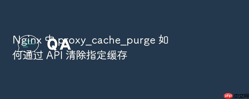 nginx 中 proxy_cache_purge 如何通过 api 清除指定缓存