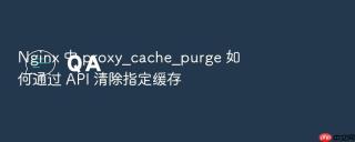 nginx 中 proxy_cache_purge 如何通过 api 清除指定缓存