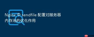 nginx 中 sendfile 配置对服务器内存池的优化作用