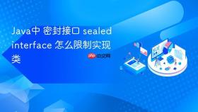 java中 密封接口 sealed interface 怎么限制实现类