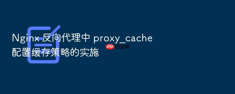 nginx 反向代理中 proxy_cache 配置缓存策略的实施