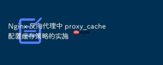 Nginx 反向代理中 proxy_cache 配置缓存策略的实施