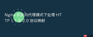 Nginx 在反向代理模式下处理 HTTP 1.1 与 2.0 协议映射