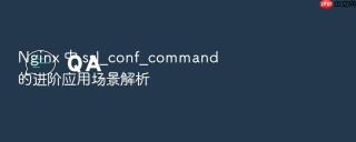 Nginx 中 ssl_conf_command 的进阶应用场景解析