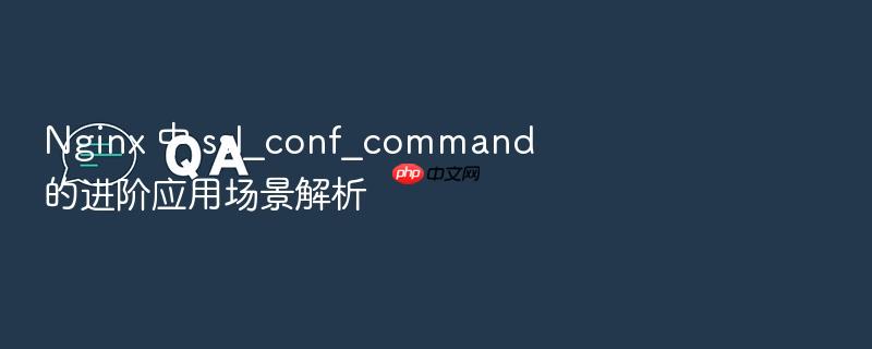 nginx 中 ssl_conf_command 的进阶应用场景解析
