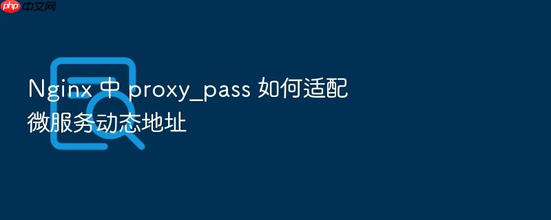 nginx 中 proxy_pass 如何适配微服务动态地址