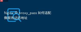nginx 中 proxy_pass 如何适配微服务动态地址