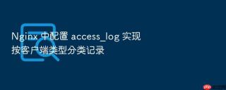 Nginx 中配置 access_log 实现按客户端类型分类记录