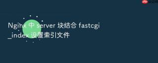 nginx 中 server 块结合 fastcgi_index 设置索引文件