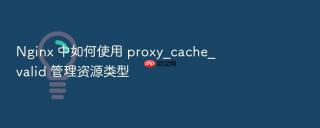 Nginx 中如何使用 proxy_cache_valid 管理资源类型