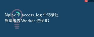 nginx 中 access_log 中记录处理请求的 worker 进程 id