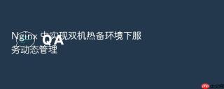 Nginx 中实现双机热备环境下服务动态管理