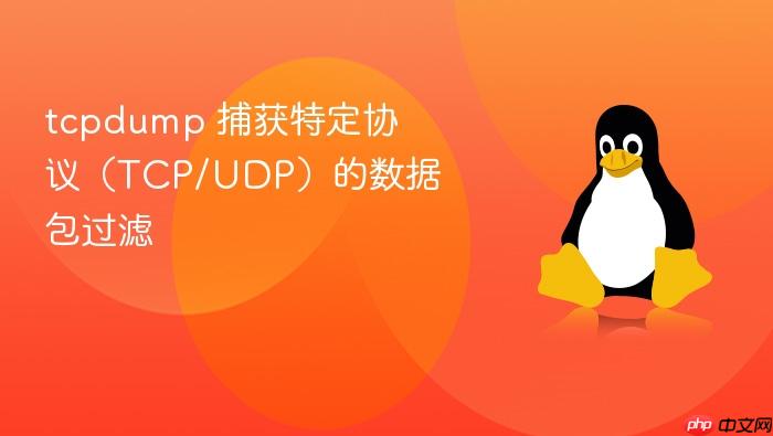 tcpdump 捕获特定协议（tcp/udp）的数据包过滤