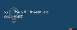 nginx 中实现基于状态码的动态负载均衡调度