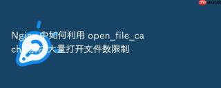 Nginx 中如何利用 open_file_cache 解决大量打开文件数限制