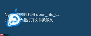nginx 中如何利用 open_file_cache 解决大量打开文件数限制