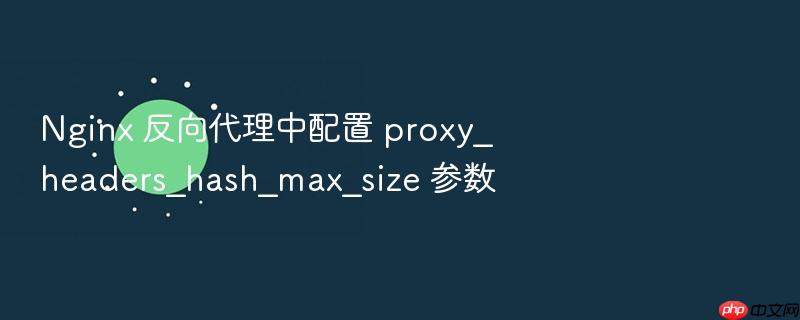 nginx 反向代理中配置 proxy_headers_hash_max_size 参数