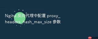 nginx 反向代理中配置 proxy_headers_hash_max_size 参数