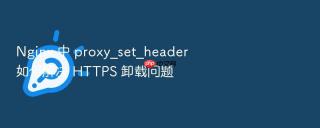 nginx 中 proxy_set_header 如何解决 https 卸载问题