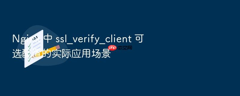 nginx 中 ssl_verify_client 可选配置的实际应用场景