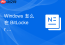 Windows 怎么在 BitLocker 加密盘上安全地运行碎片整理和固态硬盘 TRIM 优化