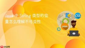 java 中 string 类型的变量怎么理解不可变性
