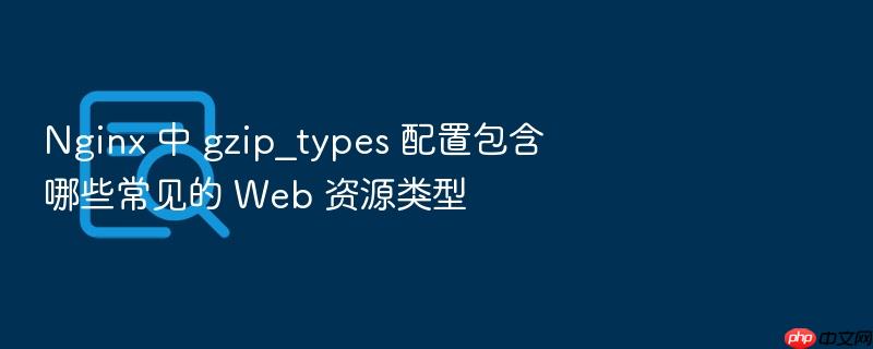 nginx 中 gzip_types 配置包含哪些常见的 web 资源类型