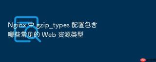 nginx 中 gzip_types 配置包含哪些常见的 web 资源类型
