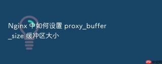 nginx 中如何设置 proxy_buffer_size 缓冲区大小