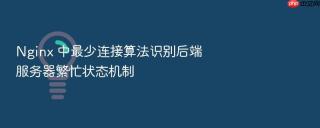 Nginx 中最少连接算法识别后端服务器繁忙状态机制