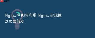 Nginx 中如何利用 Nginx 实现稳定负载转发