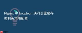 nginx 中 location 块内设置缓存控制头策略配置