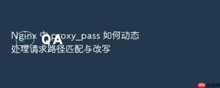 nginx 中 proxy_pass 如何动态处理请求路径匹配与改写