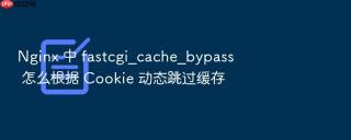 nginx 中 fastcgi_cache_bypass 怎么根据 cookie 动态跳过缓存