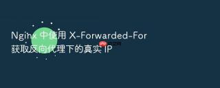 Nginx 中使用 X-Forwarded-For 获取反向代理下的真实 IP