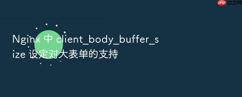 nginx 中 client_body_buffer_size 设定对大表单的支持