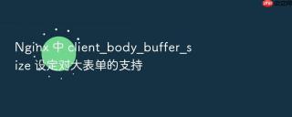 nginx 中 client_body_buffer_size 设定对大表单的支持