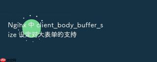 Nginx 中 client_body_buffer_size 设定对大表单的支持