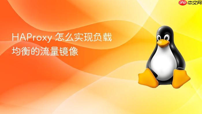 haproxy 怎么实现负载均衡的流量镜像