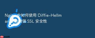 Nginx 中如何使用 Diffie-Hellman 参数增强 SSL 安全性
