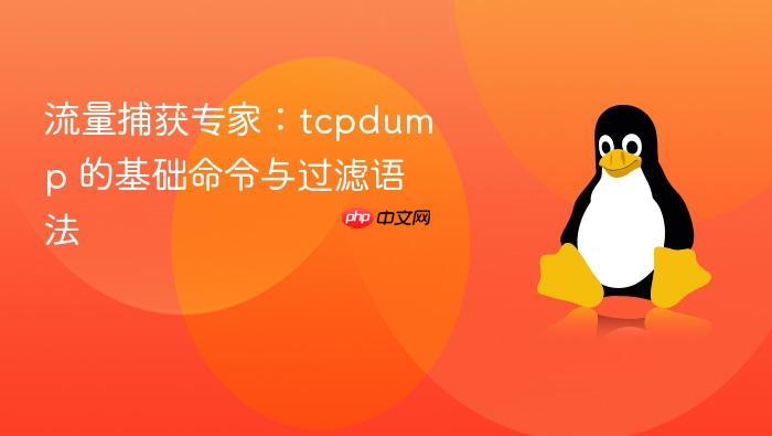流量捕获专家:tcpdump 的基础命令与过滤语法
